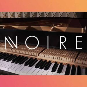 Native Instruments Noire (KONTAKT)