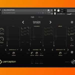 Rigid Audio Perception (KONTAKT)