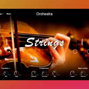 Muze SO Strings Solo (KONTAKT)