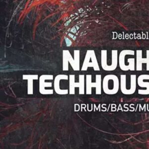 Naughty TechHouse 3 (Sample Packs)