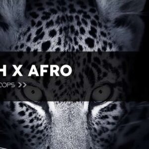 Tech X Afro (Sample Packs)