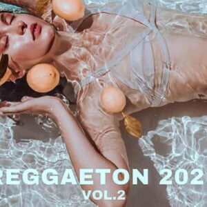 Vibras Reggaeton Vol. 2 (Sample Packs)