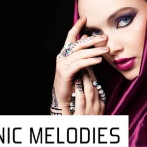 Pulsed Records Ethnic Melodies (Sample Packs)
