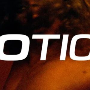 Lotic ‘body’ (Sample Packs)