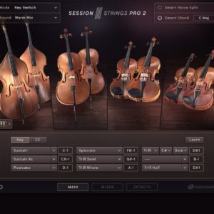 Native Instruments Session Strings Pro 2 (KONTAKT)