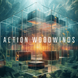 Native Instruments – Action Woodwinds