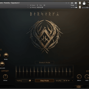Berserkr Pro – Tribal Punk Folk Drums