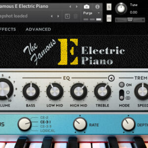 The Famous E Electric Piano