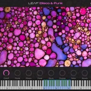 Native Instruments – Leap Disco & Funk