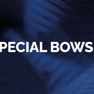 Orchestral Tools โ Special Bows