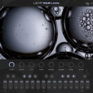 Native Instruments – Leap R&B Licks