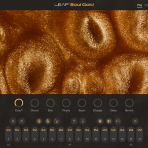 Native Instruments – Leap Soul Gold