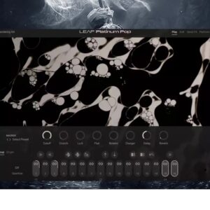 Native Instruments – Leap Platinum Pop