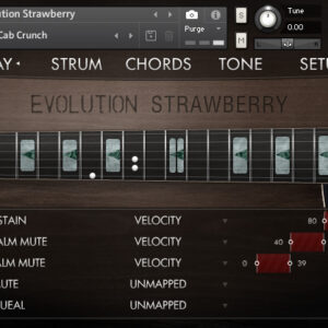 Orange Tree Samples - Evolution Strawberry