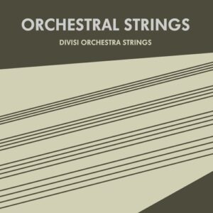 Sonokinetic β Orchestral Strings
