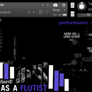 Straight Ahead Samples - Light as a Flutist