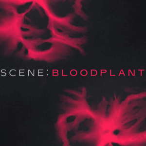 Native Instruments - Scene Bloodplant
