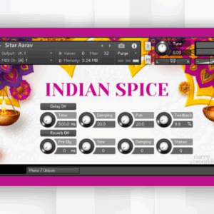 Sonic Market - Indian Spice